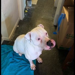 Meet your Posher, Kathy